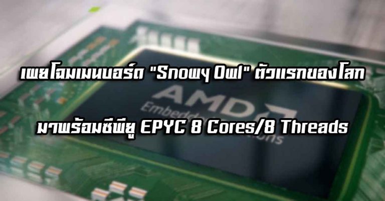 เผยโฉมเมนบอร์ด Snowy Owl ตัวแรกของโลก – มาพร้อมซีพียู EPYC 8 Cores/8 Threads