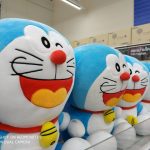IMG_20180601_143619