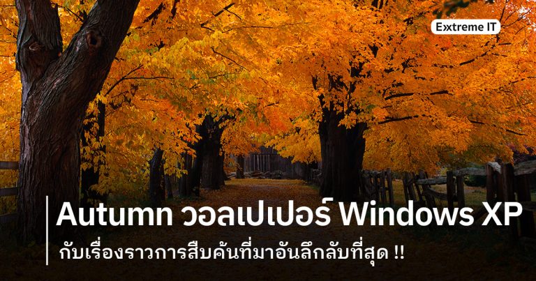 [Extreme History] – Autumn วอลเปเปอร์ Windows XP ที่ลึกลับที่สุด !!